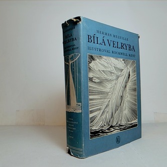 Bílá Velryba