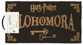 Rohožka Harry Potter: Alohomora (60 x 33 cm) hnědá