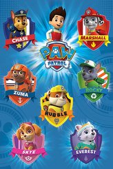 Plakát Paw Patrol|Tlapková Patrola: Tým (61 x 91,5 cm)