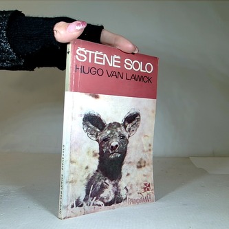 Štěně solo