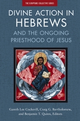 Divine Action in Hebrews