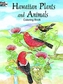 Hawaiian Plants and Animals Colouring Book