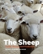 The Sheep