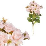 Růže v pugetu, meruňková barva.