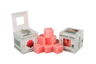 Vonný vosk Scented cubes - carnation (karafiát)