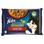 Kapsička Felix Sensations Sauce Surprise multipack krůta se slaninou + jehněčí se zvěřinou v omáčce 4x85g