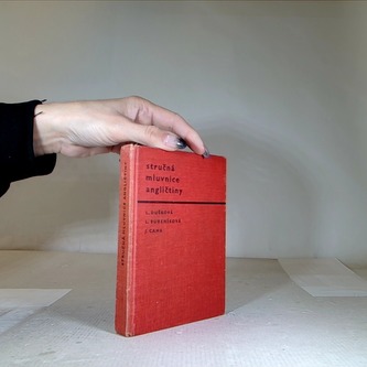 Stručná mluvnice angličtiny