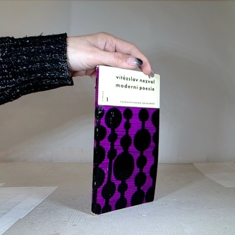 Moderní poesie