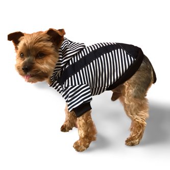Pruhovaná zimní mikina pro psa Modrá 3XL