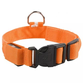 LED Obojek pro psa Mesh /Oranžová M