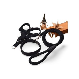 Vodítko + postroj + obojek Easy Černá XL