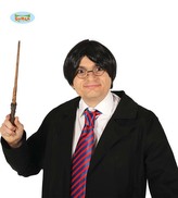 Kouzelnická hůlka Harry Potter
