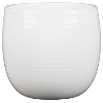 Obal 765 Alaska /lesklá bílá/ 15