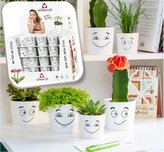 Obal 870 Mix Vibes 09