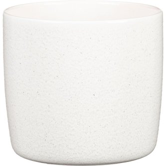 Obal 900 Perla 21 Obal 900 Perla 21