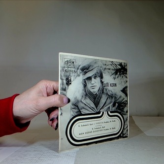 mám hodně zlozvyků (PL)