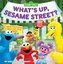 What's Up, Sesame Street? (A Pop Magic Book)