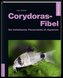 Corydoras-Fibel