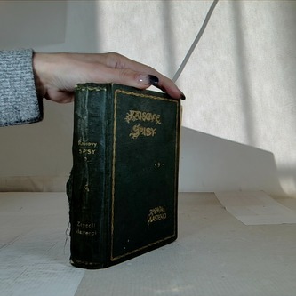 Ráisovy spisy 9.: Zapadlí vlastenci