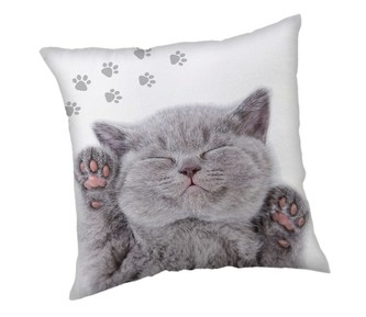JERRY FABRICS Polštářek Koťátko  Polyester, 40/40 cm