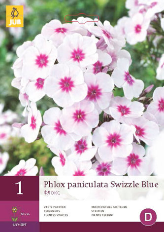 Karta - Plamenka PANICULATA SWIZZLE BLUE (1 hlíza) "B"
