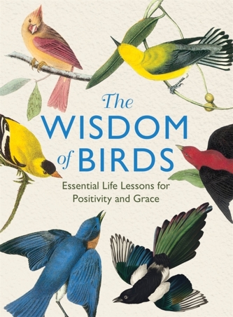 The Wisdom of Birds
