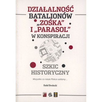 Działalność batalionów "Zośka" i "Parasol" w konspiracji. Szkic historyczny
