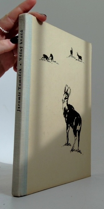 Věčný hvozd - Obrazy z hor