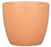 Obal 920 Rosata 19