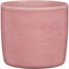 Obal 900 Rosea 18