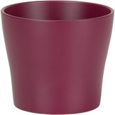 Obal 808 Burgundy 19