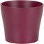 Obal 808 Burgundy 19