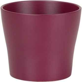 Obal 808 Burgundy 17