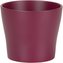 Obal 808 Burgundy 17