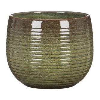 Obal 744 Wild Jungle 18