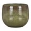 Obal 744 Wild Jungle 18
