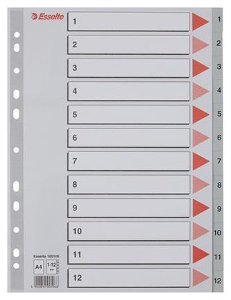 Rejstříky, šedá, A4, plast, 1-12, ESSELTE