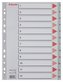 Rejstříky, šedá, A4, plast, 1-12, ESSELTE