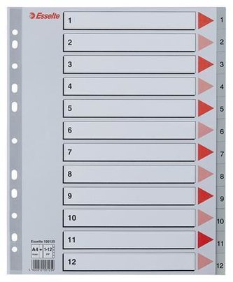 Barevné rejstříky, šedá, A4 Maxi, plast, 1-12, ESSELTE