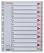 Barevné rejstříky, šedá, A4 Maxi, plast, 1-12, ESSELTE
