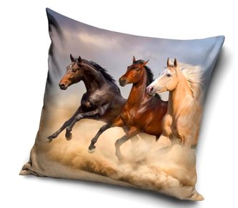 POVLAK NA POLŠTÁŘ KONĚ