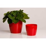 Obal Magnolia Czerwony 12