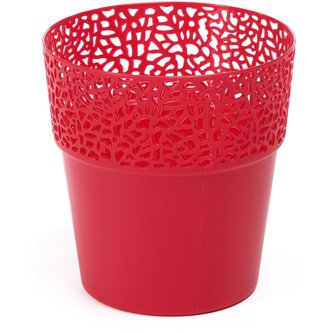 Obal Rosa Czerwony 13