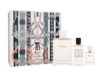Hermes Terre d´Hermes parfémovaná voda 100 ml + sprchový gel 80 ml + parfémovaná voda 12,5 ml