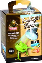 Flamingo Beam bodová žárovka denní světlo 100W