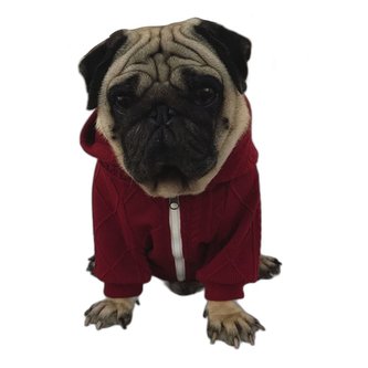 Svetr s kapucí Bulldog - Vínová XL