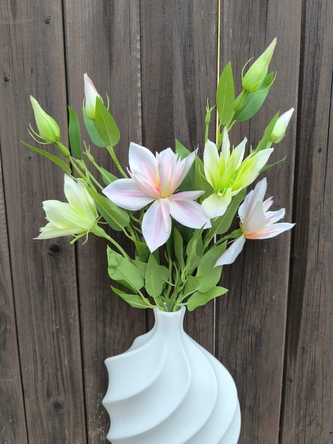 Klematis