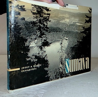 šumava