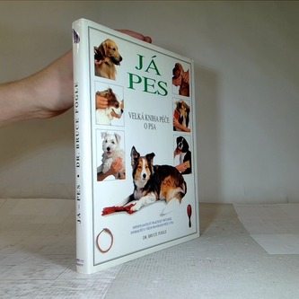 Já pes