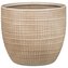 Obal 866 Canela 22